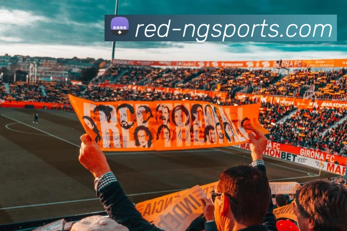 ng娱乐下载平台生态图